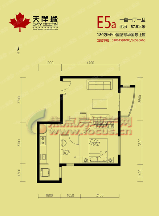 天洋城一居室户型图